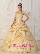 San Vicente de Taguatagua Chile Princess Champagne  2013 Strapless Quinceanera Dress Pick-ups Beading and Hand Made Flowers Decorate Style QDZY176FOR