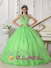 Santa Juana Chile Winter Elegant A-line Spring Green Halter Top Appliques Decorate Quinceanera Dress With Taffeta and Organza 2013 Style QDZY618FOR 