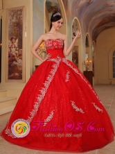 Hatonuevo Colombia  Customize Appliques Decorate Bodice Red Ball Gown Floor-length Sweetheart Wholesale Quinceanera Dress For Military Ball Style QDZY224FOR
