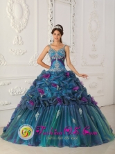 Nueva Granada Colombia Teal Appliques and Hand Made Flowers Pick-ups Straps Wholesale Quinceanera Dress For 2013 Style QDZY321FOR 