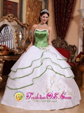Salgar Colombia Spring Green and White For Stylish Wholesale Quinceanera Dress Strapless Organza Embroidery for Sweet 16 Style QDZY536FOR