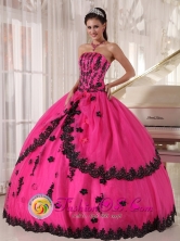 Toro Colombia Perfect Hot Pink Wholesale Quinceanera Dress Organza and Taffeta Appliques Decorate Bodice For 2013 Strapless Ball Gown Style PDZY498FOR  
