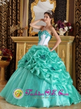 With Hand Made Flower Sweetheart Discount Turquoise Quinceanera Dress In 2013 Oiba Colombia Wholesale Quinceanera Spring Party  Style QDZY236FOR 