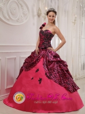 2013 Anton Panama One Shoulder Hand Zebra Made Flowers Sweet 16 Dress Coral Red For Quinceanera Style QDZY384FOR