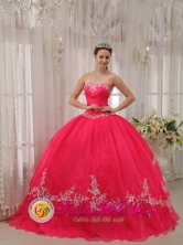 Chiriqui Panama Stylish Wholesale Fushia Sweetheart Appliques Decorate 2013 Quinceanera Dresses Party Style for ormal Evening  Style QDZY566FOR