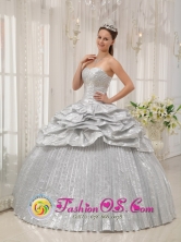 El Uvito Panama Silver For Brand New Quinceanera Dress With Appliques and Pick-ups For Spring In Florida Style QDZY357FOR