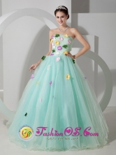 Macaracas Panama Apple Green Organza A-line Quincenera Dress With Colored Hand Made Flowers Style MLXNHY03FOR