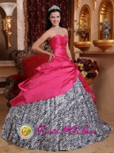 Palmas Bellas Panama Taffeta and Zebra For 2013 Quinceanera Dress With Beading and Hand Made Flowers Style QDZY367FOR