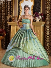 Punta Pena Panama Appliques Discount Olive Green 2013 Quinceanera Dress Strapless Taffeta and Organza Ball Gown For 2013 Quinceanera Style QDZY280FOR 