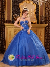 Iquitos Peru Affordable Blue Organza Quinceanera Dress with Appliques For 2013 Sweetheart Style QDZY086FOR  