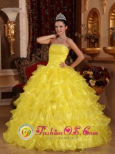 Customer Made Yellow Ruches Bodice Ruffles Layered Amazing Quinceanera Dress IN Florida Uruguay Style QDZY730FOR