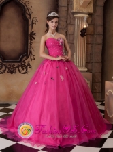 Fuchsia A-line Appliques Decorate Bust Wholesale Dress With Sweetheart For 2013 Quinceanera IN Punta del Este Uruguay Style QDZY318FOR