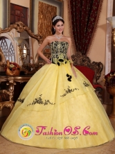 Light Yellow Strapless For Beautiful 2013 Spring Quinceanera Dress With Embroidery and Hand Made Flowers IN Tacuarembo Uruguay Style QDZY233FOR