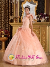Sweet 16 Dress Pink One Shoulder Hand Made Flowers  With Appliques and Pick-ups In Treinta y Tres Uruguay  Style QDZY179FOR