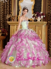 Wholesale  2013 Quinceanera Dress Latest Fuchsia and Apple Green Organza With Appliques Sweetheart Ball Gown IN Colonia Valdense Uruguay Style QDZY249FOR