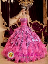 Chalco Mexico Wholesale Hot Pink Sweetheart Neckline 2013 Quinceanera Dress With Leopard and Organza Ruffled Skirt Style QDZY128FOR 