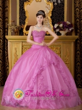 Nezahualcoyotl Mexico Wholesale Customized Brand New For Quinceanera Dress With Rose Pink Sweetheart Exquisite Appliques Style QDZY080FOR 