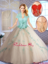 2015 Fall Perfect Champagne Quinceanera Dresses with Appliques SJQDDT142002-2FOR