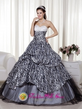 Achutupo Panama Beading and Ruch 2013 Quinceanera Dress Luxurious A-line Sweetheart Floor-length Zebra and Organza for Formal Evening Style MLXN105FOR 