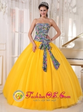 Tonosi Panama For Formal Evening Golden Yellow and Printing Quinceanera Dress Bowknot Tulle Ball Gown Style PDZY713FOR