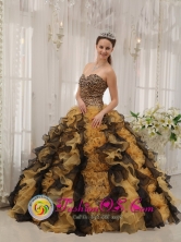 2013 Custom Made Multi-color Zebra Ruffles Sweetheart Quinceaners Dress in Spring San Diego Costa Rica Style QDZY338FOR 