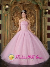 Custom Made Strapless Pink Ball Gown With Appliques for 2013 Quinceanera Gravilias Costa Rica Style QDZY096FOR  