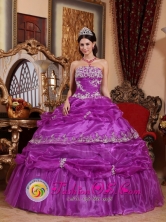 Fashionable Fuchsia Quinceanera Dress For 2013 Strapless Organza With Appliques And Ruffles Ball Gown for Sweet 16 In San Pablo Costa Rica Style QDZY559FOR 