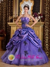 Princess Purple 2013 Winter Strapless Quinceanera Dress With Appliques and Pick- ups Villa Bisono Dominican  Style QDZY201FOR