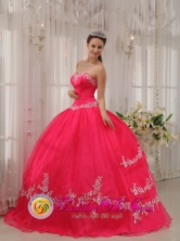 Stylish Wholesale Fushia Sweetheart Appliques Decorate 2013 Quinceanera Dresses Party Style for ormal Evening Esperanza Dominican Style QDZY566FOR 