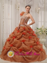 Barranca Peru Discount Rust Red wholesale Quinceanera Dress Hand Made Flower Decorate One Shoulder Organza Appliques Decorate Up Bodice For 2013 Style QDZY302FOR