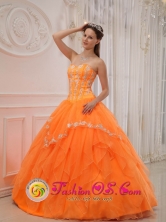 Cerro de Pasco Peru Luxurious 2013 Summer wholesale Quinceanera Dress With Sweetheart Organza Appliques Bodice Style QDZY311FOR
