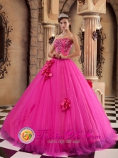 La Union Peru Luxurious Hot Pink wholesale Quinceanera Dress For Summer Strapless With Flowers And Appliques Decorate Style QDZY181FOR