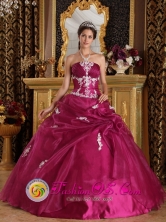 Sullana Peru Appliques Brand New Fuchsia Dress Strapless Organza and Satin Ball Gown For 2013 wholesale Quinceanera Style QDZY310FOR