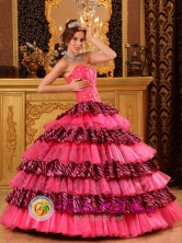 Tuman Peru Hot Pink Quinceanera Dress With Sweetheart and Beading Decorate Organza and Zebra Layers wholesale Style QDZY013FOR