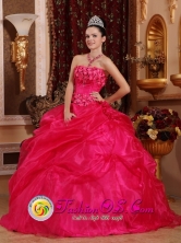 2013 Carolina Puerto Rico Organza Hot Pink Beaded Quinceanea Dresses for Sweet 16 Dresses Wear Wholesale Style QDZY659FOR