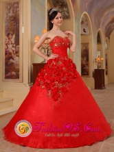 A-line Hand Made Flowers Beaded Exclusive Red Quinceanera Dress For 2013 Arroyo  Puerto Rico Wholesale Style QDZY203FOR 