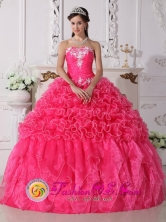 Beaded Embroidery Hot Pink  Modest Quinceanera Dress For 2013 Loiza Puerto Rico Ruffles Decorate Wholesale Style QDZY703FOR