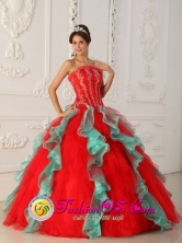 Customize Multi-color Appliques Quinceanera Dress With Organza For Sweet 16 For 2013 Arecibo Puerto Rico Summer Wholesale Style QDZY299FOR 