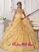 Hand Made Flower Embroidery Beading Decorate Organza Gold Sweetheart Quinceanera Dress In Catao Puerto Rico Wholesale Style QDZY688FOR  