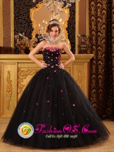 Popular Black Quinceanera Dress For 2013 Fajardo Puerto Rico Tiny Flowers Decorate Strapless Tulle Ball Gown Wholesale Style QDZY165FOR 