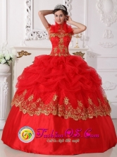 Sweet 16 Hot Pink Halter Embroidery 2013  Special Quinceanera Gowns With Pick-ups Wholesale Style QDZY694FOR