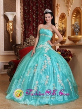 2013 Quinceanera Dress Wholesale Strapless Turqoise Organza  Appliques Ball Gown In Merida Venezuela Style QDZY685FOR 