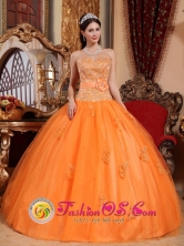 Apliques and Sash Wholesale Sweetheart Tulle Embroidery Decorate Quinceanera Dress In Tocuyito Venezuela Style QDZY662FOR 
