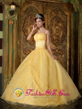 Appliques Wholesale Decorate Yellow 2013 Quinceanera Dress In New York Strapless Organza Ball Gown In Barcelona Venezuela Style FOR  