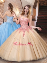 Lovely Big Puffy Champagne Quinceanera Dress with Appliques and Beading XFQD1050FOR
