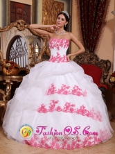 Strapless Appliques Wholesale Organza Wholesale Quinceanera Dress for 2013 Ball In Guasipati Venezuela Style QDZY684FOR 