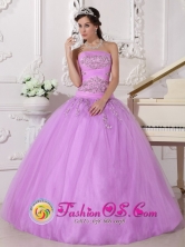 Tulle  Wholesale Lavender Beaded Strapless Ball Gown for 2013 Quinceanera In San Tome Venezuela Style QDZY667FOR 