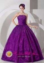 2013 A-line Strapless Lovely Purple Ball Gown With Ruched and Beading IN Cochabamba Bolivia Style JSY080808FOR