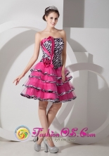 Sunshine Coas QLD Wholesale Customize Hot Pink A-line   Strapless Mini-length Organza Zebra Dama Dress for   Celebrity Style MLXN146FOR 
