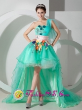 Unique Apple Green Princess One Shoulder High-low Organza Beading and Appliques Dama  Dress for Celebrity In San Juan Puerto Rico Wholesale  Style MLXN080802FOR